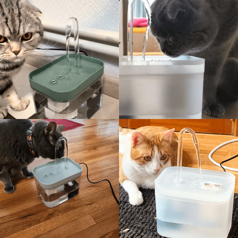 HydroHope™ PetFlow Fountain