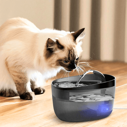 HydroHope™ PetFlow Fountain